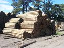 Treated Pine Posts & Poles
