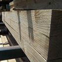 Rough Sawn Treated Pine